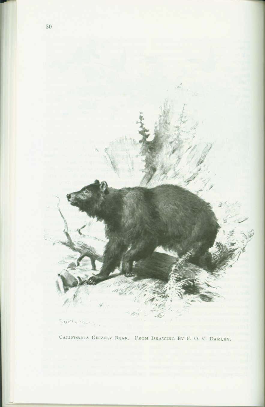 OUR YOSEMITE NATIONAL PARK. vist0061k